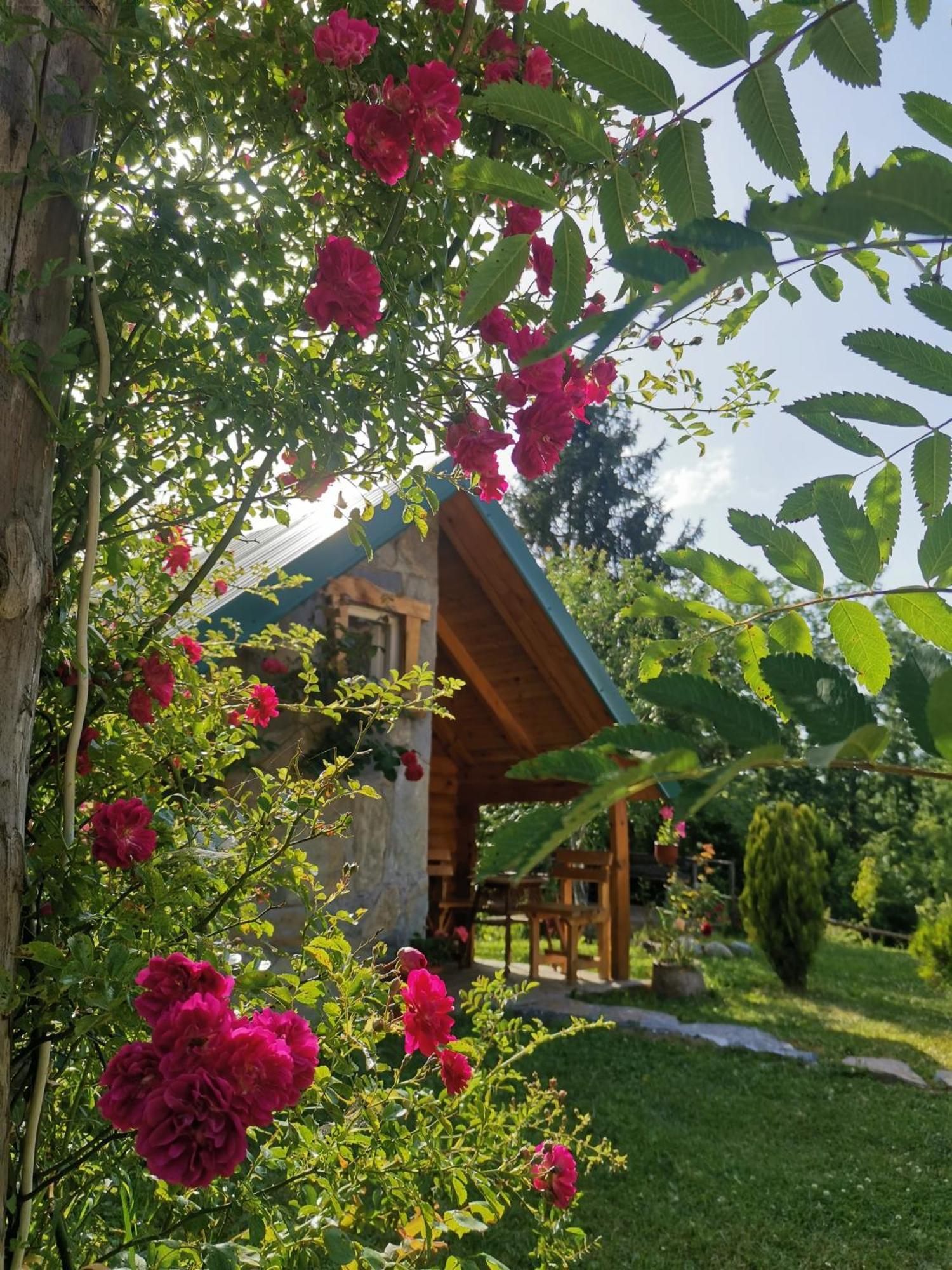 Gazela Bungalov 1 Mojkovac Exterior foto